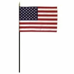 Mounted Classroom American Flag