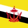 Brunei Flag Outdoor Nylon