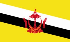 Brunei Flag Outdoor Nylon