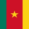 Cameroon Flag Outdoor Nylon