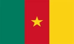 Cameroon Flag Outdoor Nylon