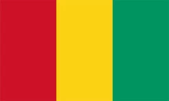 Guinea Flag Outdoor Nylon