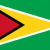 Guyana Flag Outdoor Nylon