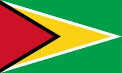 Guyana Flag Outdoor Nylon