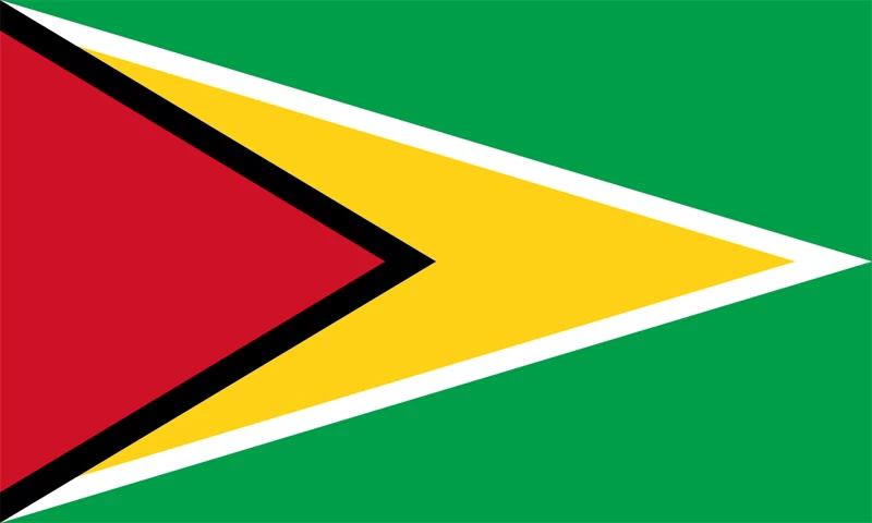 Guyana Flag Outdoor Nylon 1 Guyana Flag Outdoor Nylon