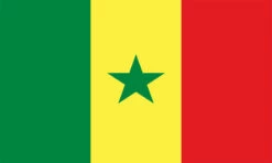 Senegal Flag Outdoor Nylon