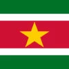 Suriname Flag Outdoor Nylon