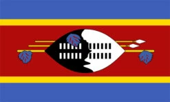 Swaziland Flag Outdoor Nylon