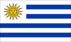 Uruguay Flag Outdoor Nylon