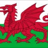 Wales Flag Outdoor Nylon