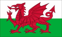 Wales Flag Outdoor Nylon